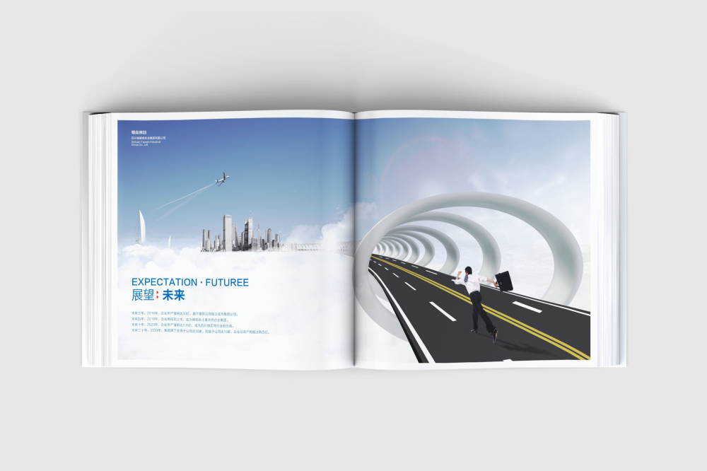 新青区画册设计